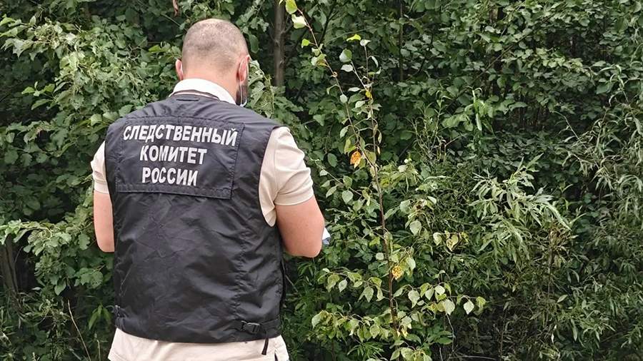 Дочь убитой под Архангельском опровергла версию о конфликте в машине