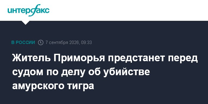 Житель Приморья предстанет перед судом по делу об убийстве амурского тигра