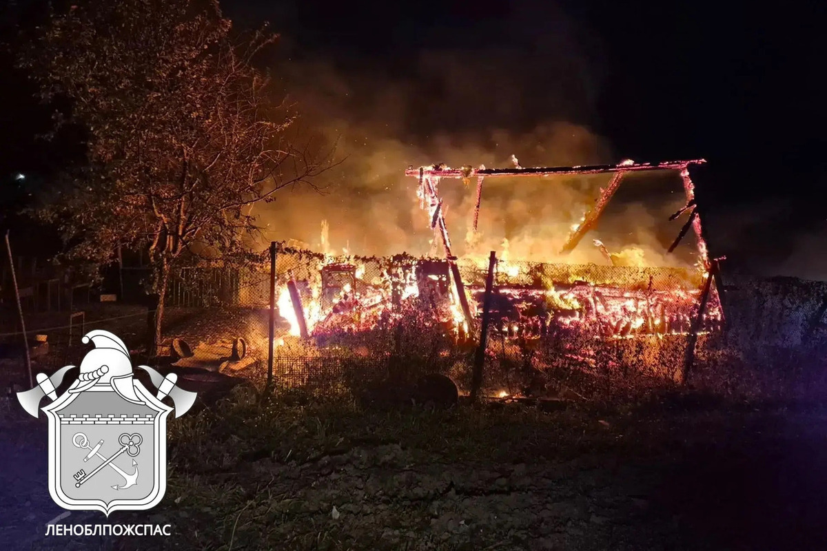 При пожарах в Ленинградской области за минувшие сутки эвакуировали 46 человек