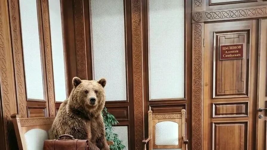Глава Бурятии пошутил про медведя перед его нападением на местного жителя