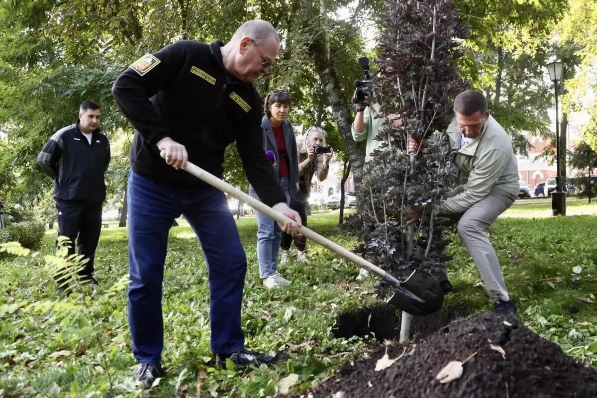 3 тысячи деревьев и кустарников высадят в Пензе этой осенью