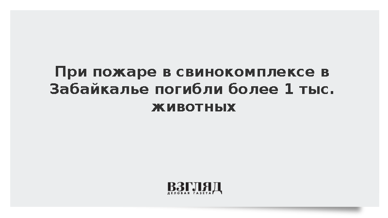 В Забайкалье при пожаре на свиноферме погибли более 1 тыс. животных
