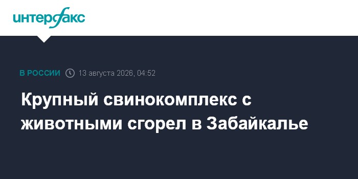 Крупный свинокомплекс с животными сгорел в Забайкалье