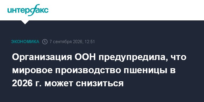 Организация ООН предупредила, что мировое производство пшеницы в 2026 г. может снизиться
