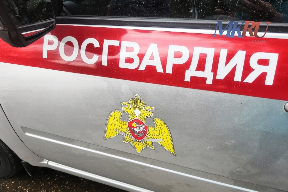 В Малоярославце задержали подозреваемого в краже