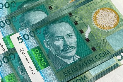 В Киргизии начнут тестировать цифровой сом