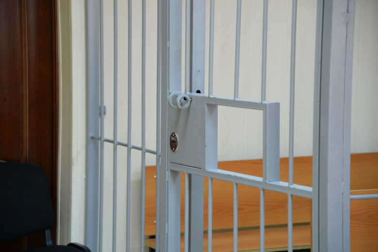 Задержанного депутата от «Яблока» обвинили по экстремистской статье