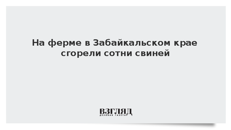 На ферме в Забайкальском крае сгорели сотни свиней