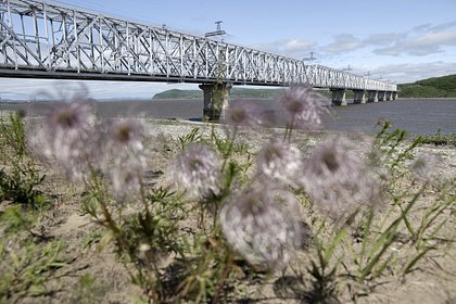 Уровень реки в российском регионе приблизился к опасной отметке