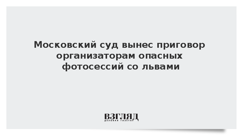 Московский суд приговорил к штрафам организаторов опасных фотосессий со львами