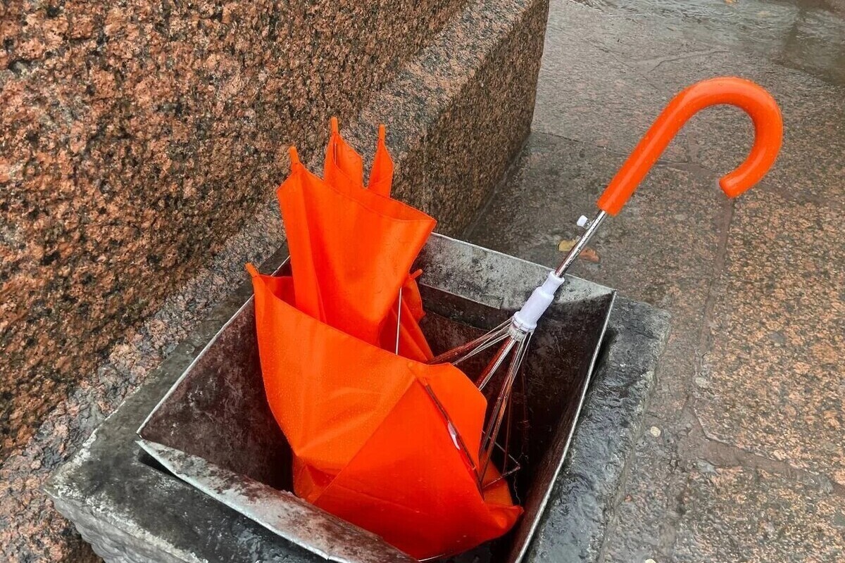 Ночные заморозки все сильнее в Мурманской области 8 сентября: порывистый ветер и -3 градуса