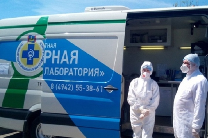 Костромичей приглашают на бесплатную вакцинацию питомцев 12 сентября