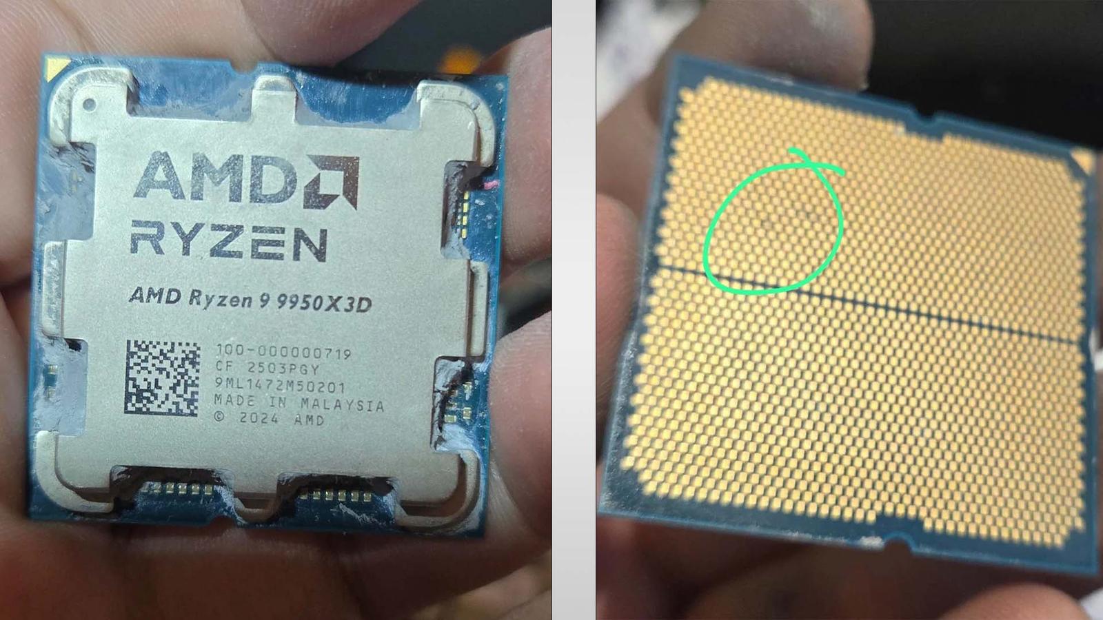 Материнская плата Asus практически моментально «убила» Ryzen 9 9950X3D