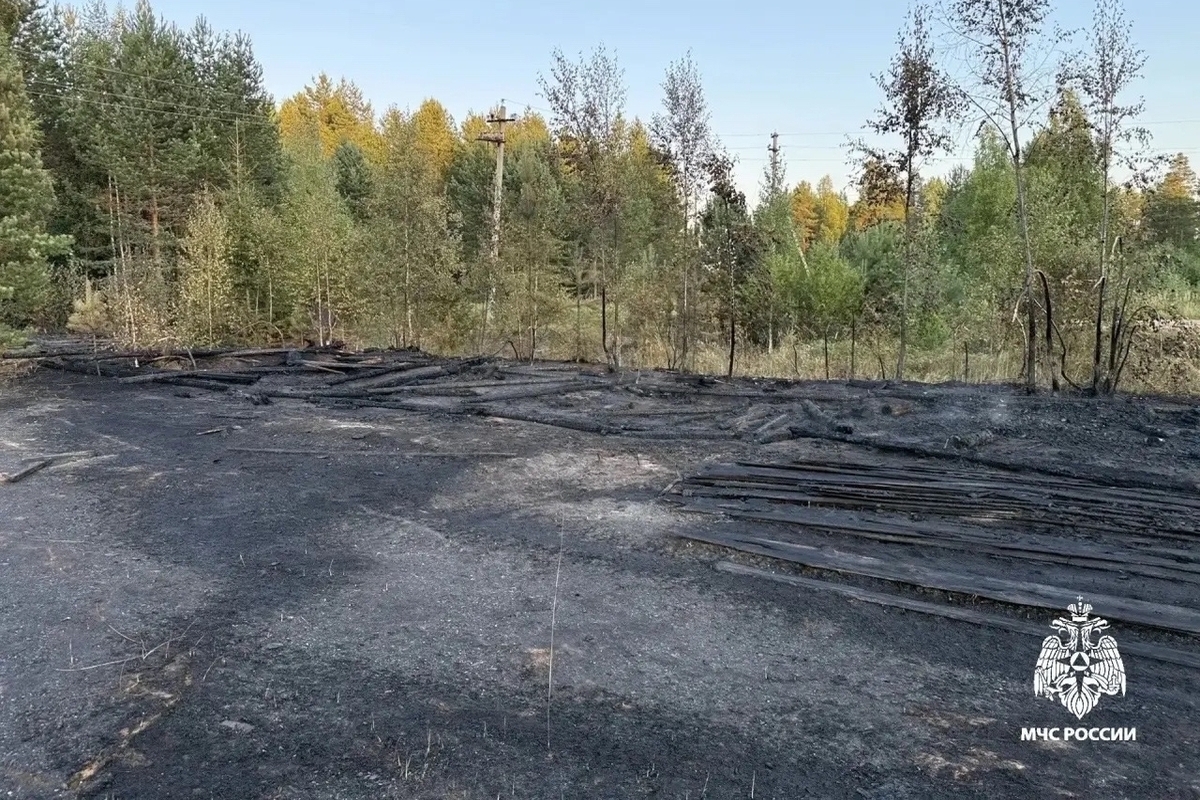 Костромские пожары: в Павинском округе огнеборцы спасли поселок Шайменский