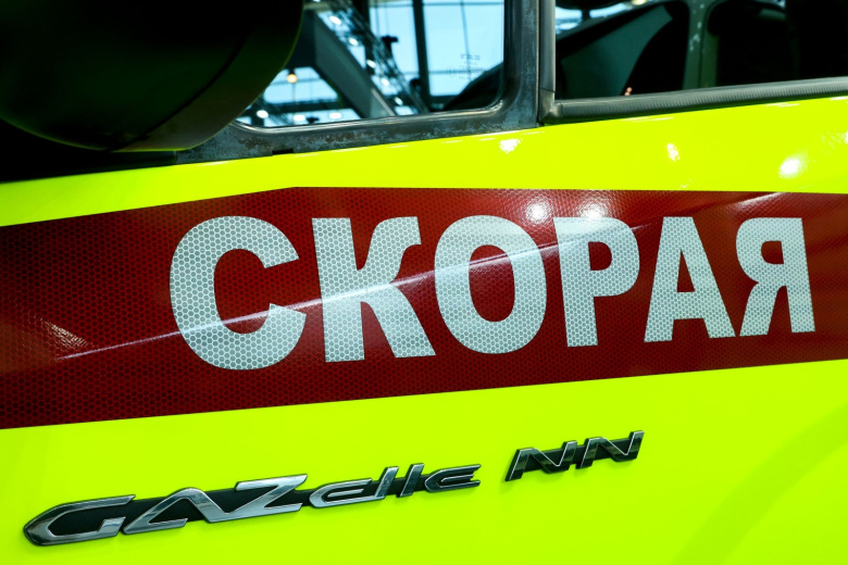 Бык набросился на хозяйку и насмерть забил ее рогами и копытами