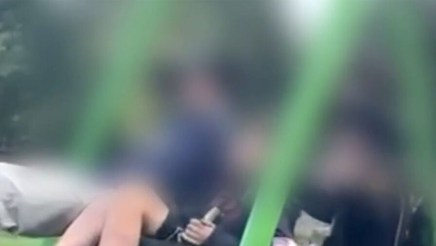 В Ленобласти нашли подростков, напавших на семью с детьми с шокерами и перцовками