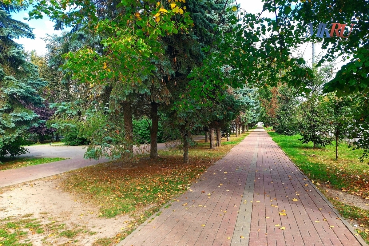Калужанам рассказали, как закончить лето без сожалений