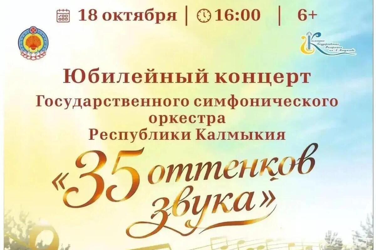 Симфонический оркестр Калмыкии пригласил послушать «35 оттенков звука»