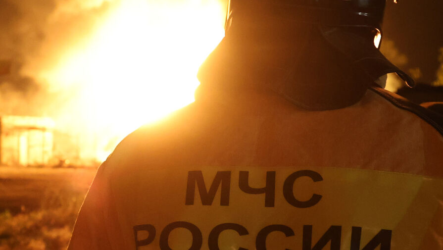 Мэр Новороссийска сообщил о возгорании лесной подстилки в районе хутора Дюрсо