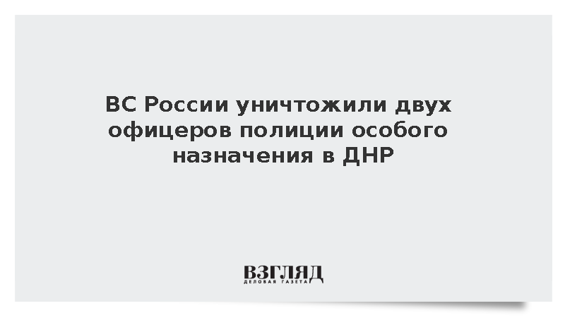 ВС России уничтожили в ДНР двух украинских офицеров полиции особого назначения