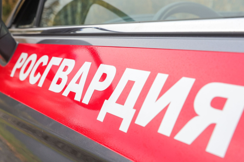 Росгвардия сообщила о гибели своих сотрудников при сходе лавины в КБР