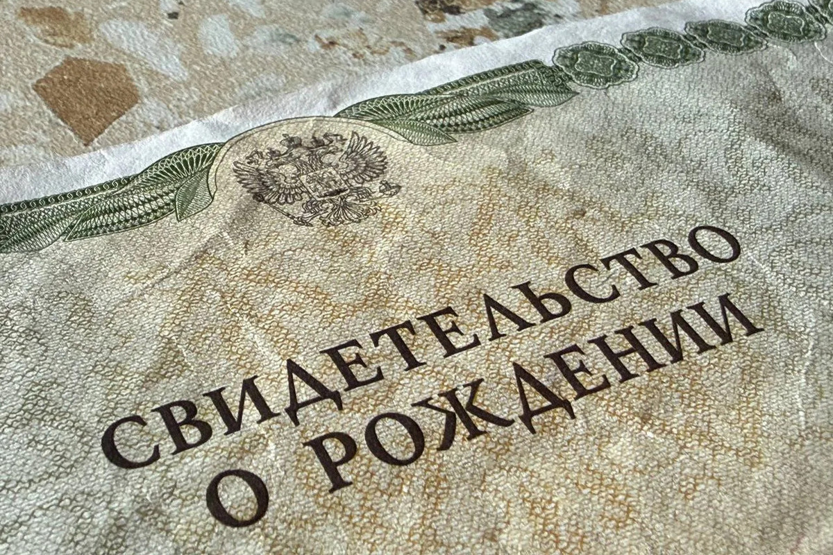 Петербуржцам порекомендовали заранее собирать документы перед смертью близких