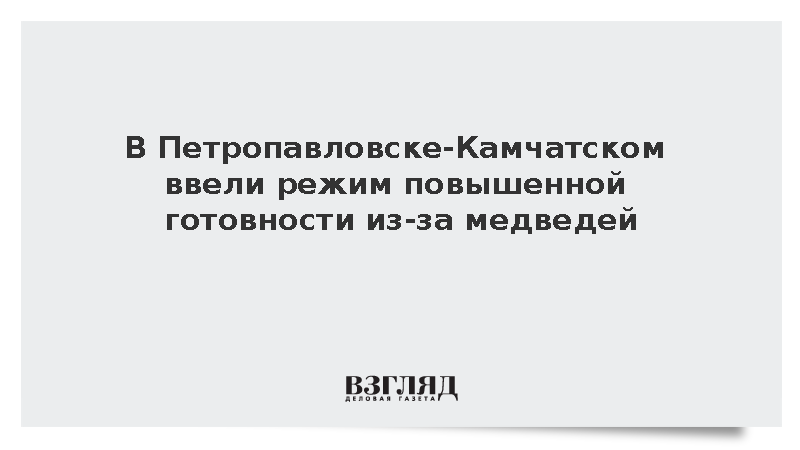 В Петропавловске-Камчатском ввели режим повышенной готовности из-за медведей