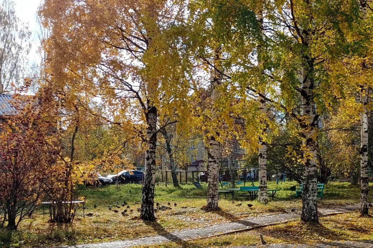 В НАО 9 сентября ожидаются туман и порывистый ветер