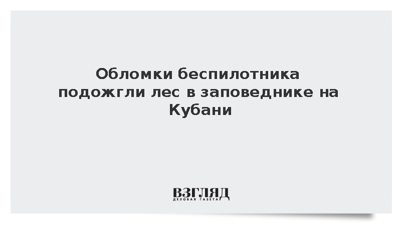 Обломки беспилотника подожгли лес в заповеднике на Кубани