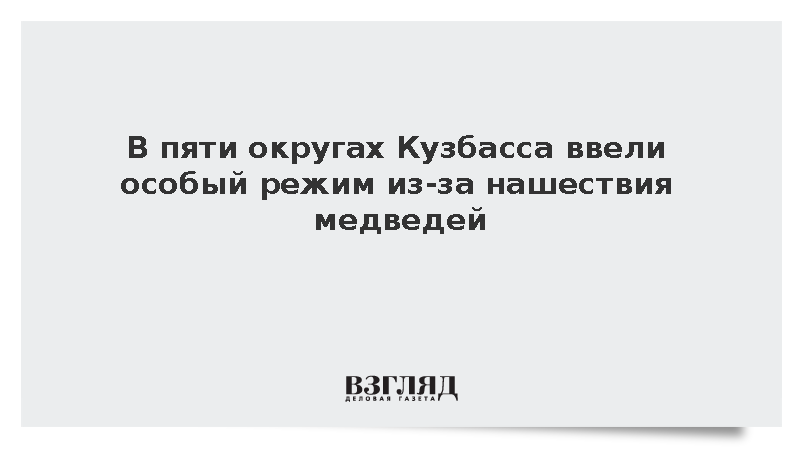 В пяти округах Кузбасса ввели особый режим из-за нашествия медведей