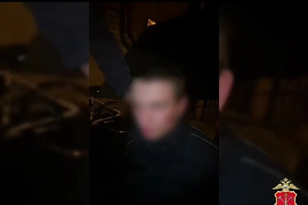 В парке Петербурга молодые грабители напали на прохожего и отобрали телефон