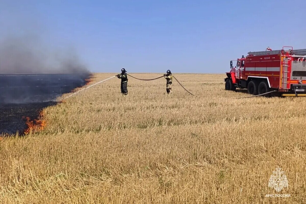 В Запорожской области продлили штормовое предупреждение из-за огненной угрозы