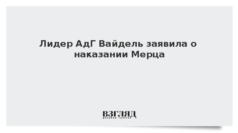 Лидер АдГ Вайдель заявила о наказании Мерца