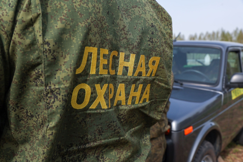 Спасатели ликвидировали еще один лесной пожар в Краснодарском крае