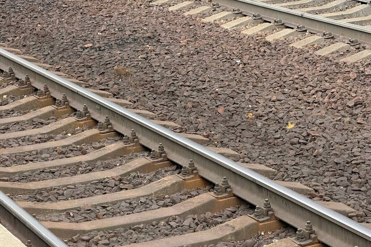 Погрузка на станциях Петербурга в августе выросла до 576,6 тыс. тонн