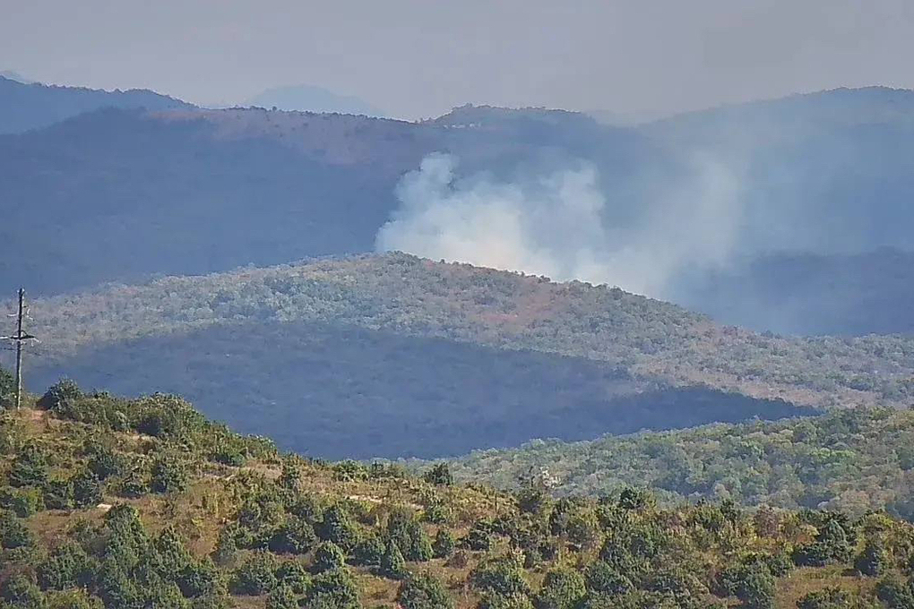 В Анапском лесничестве тушат новый лесной пожар