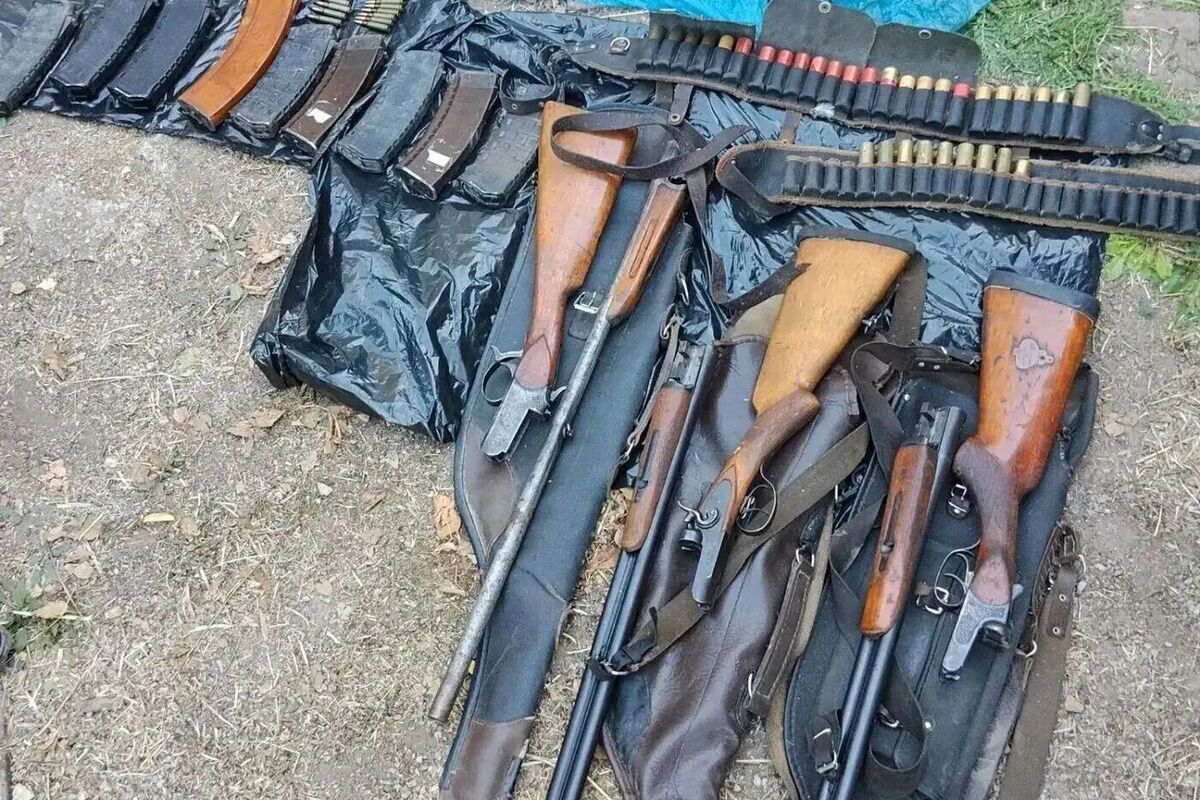 У жителя Пологовского района нашли крупную партию оружия и боеприпасов