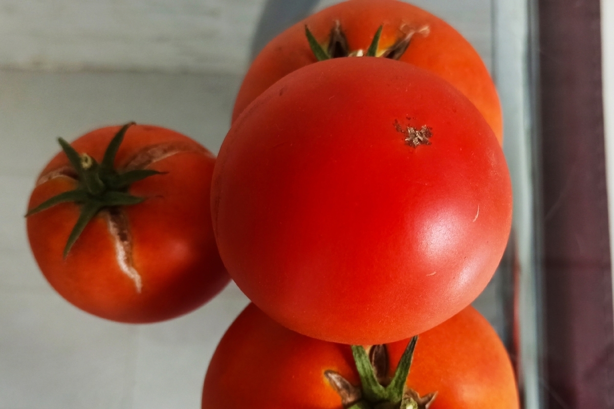 Во Владимирской области подорожали продукты длительного хранения