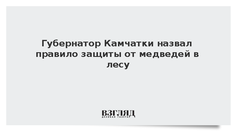 Губернатор Камчатки назвал правило защиты от медведей в лесу