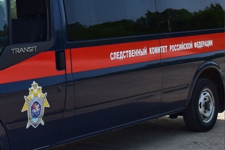 В Прикамье заключен под стражу обвиняемый в убийстве