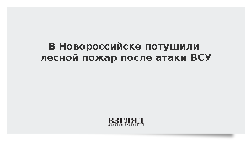 В Новороссийске потушили лесной пожар после атаки ВСУ