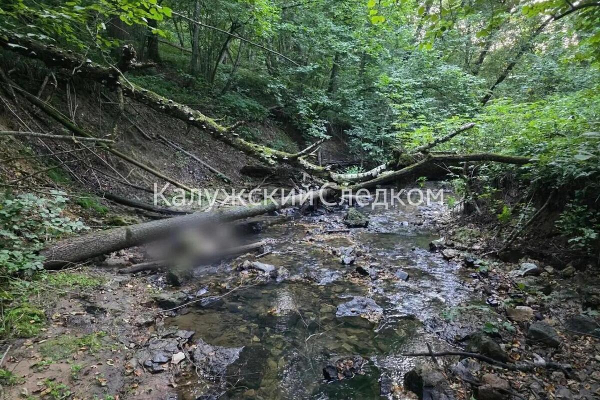 Мумия в лесу оказалась без вести пропавшим обнинцем