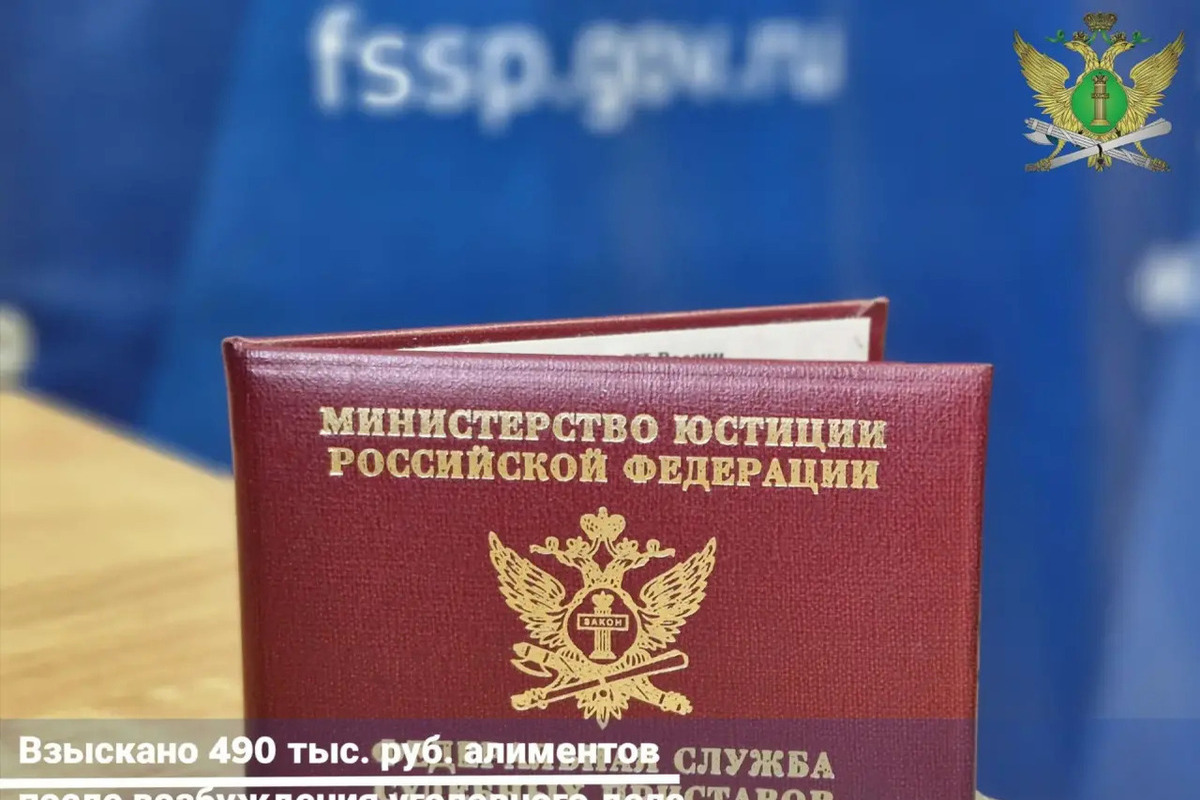 Тамбовчанка погасила полмиллиона алиментов сыновьям после уголовного дела