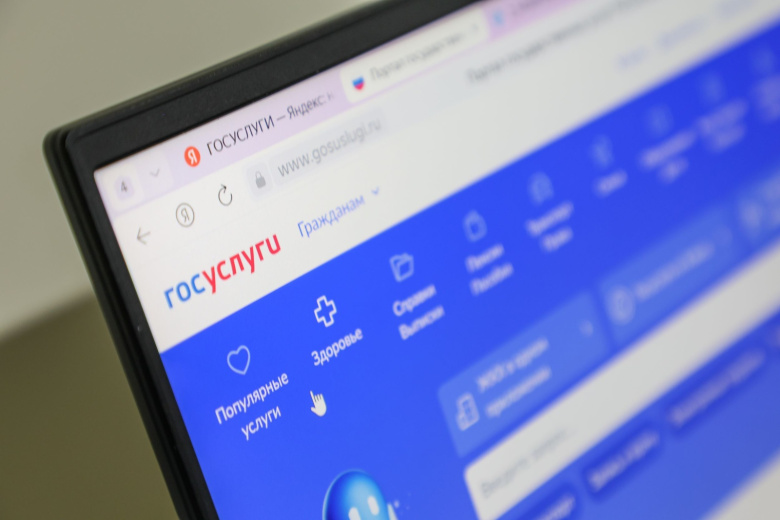 Сенатор объяснил смысл уведомлений о кредитах через «Госуслуги»