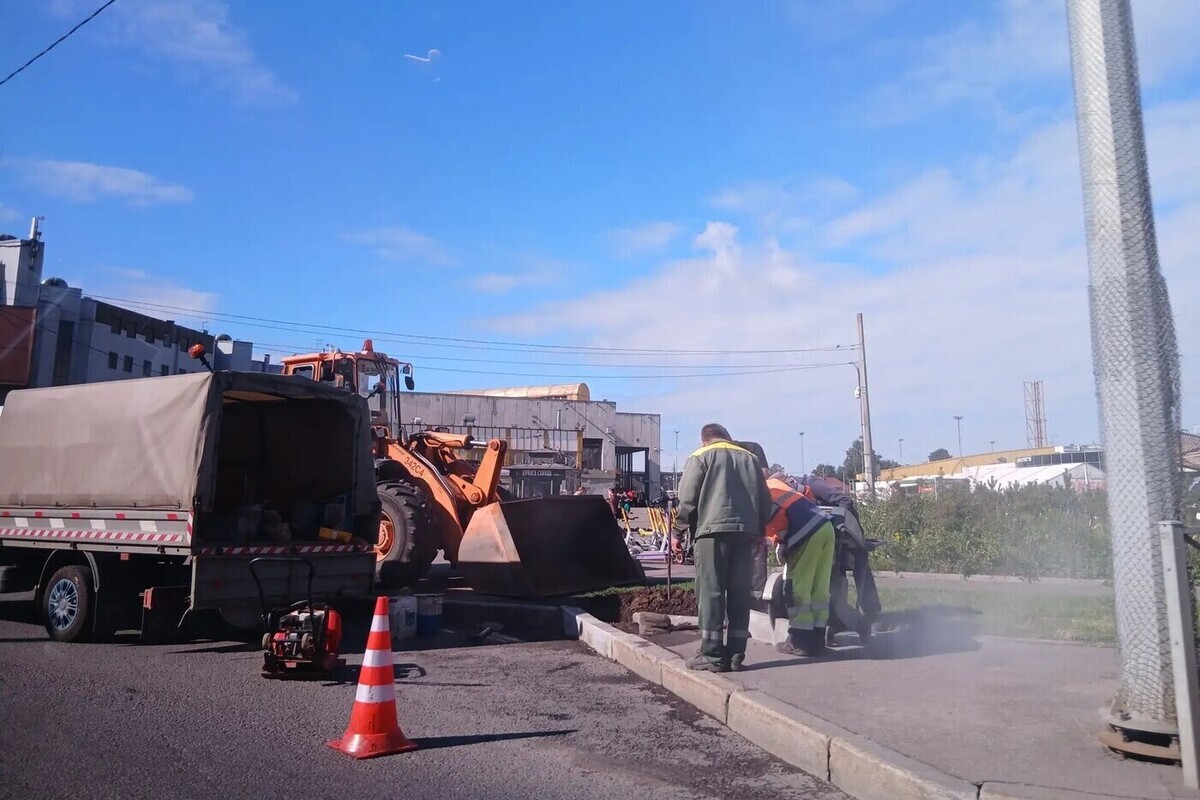 С 12 сентября в Стрельне ограничат дорожное движение по Боровой улице