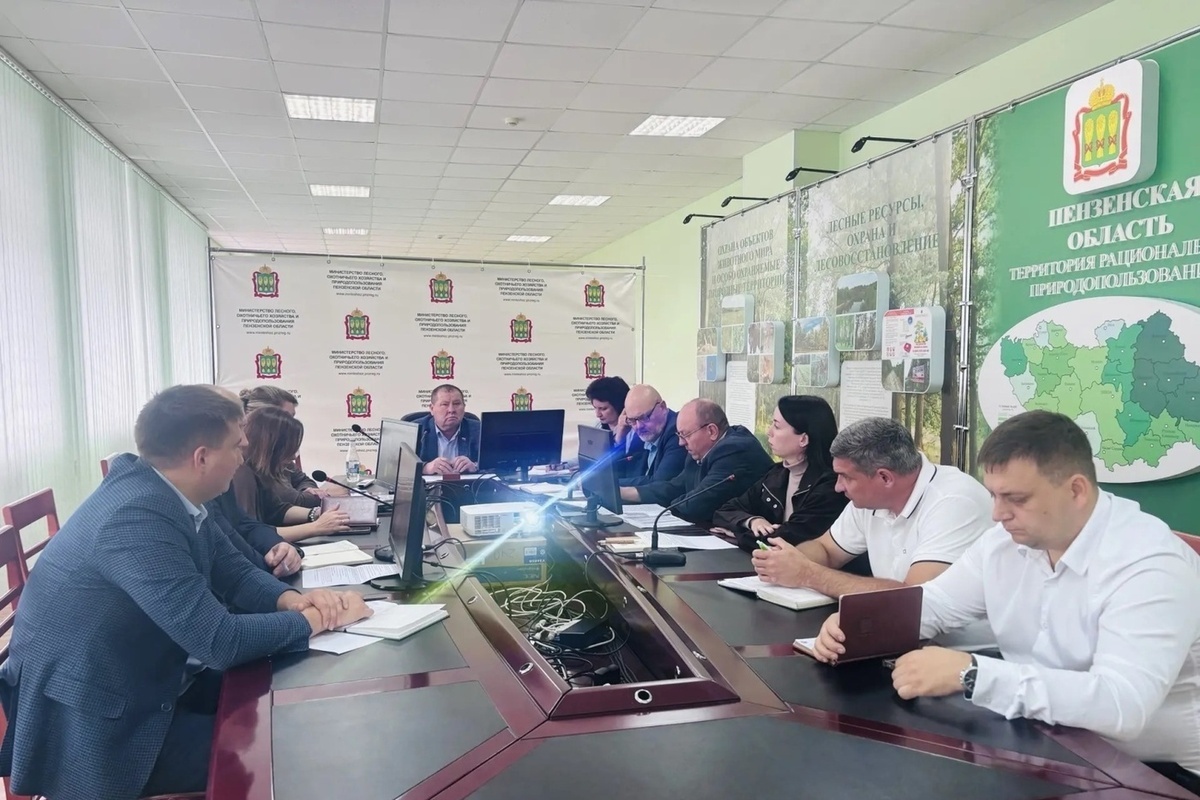 В Пензенской области усилят патрулирование лесов