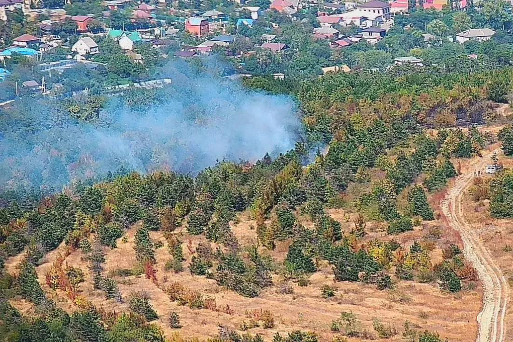 Лес загорелся в районе Верхнебаканской под Новороссийском