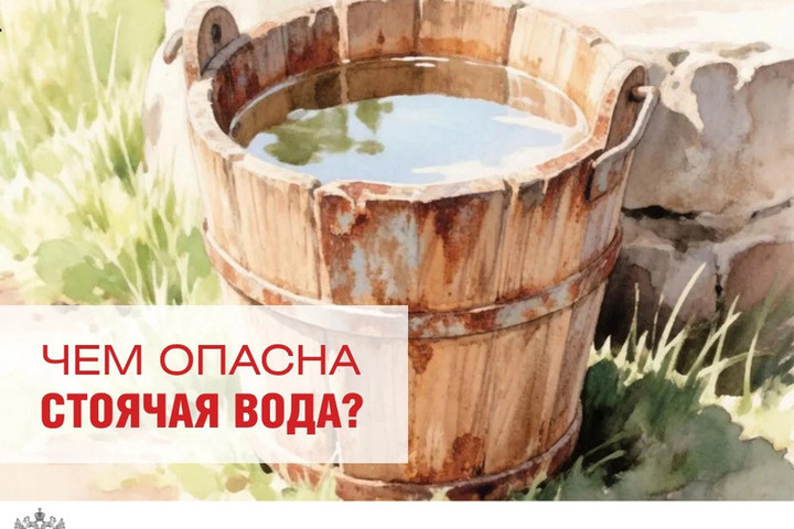 Жителям Псковской области напомнили об опасности стоячей воды