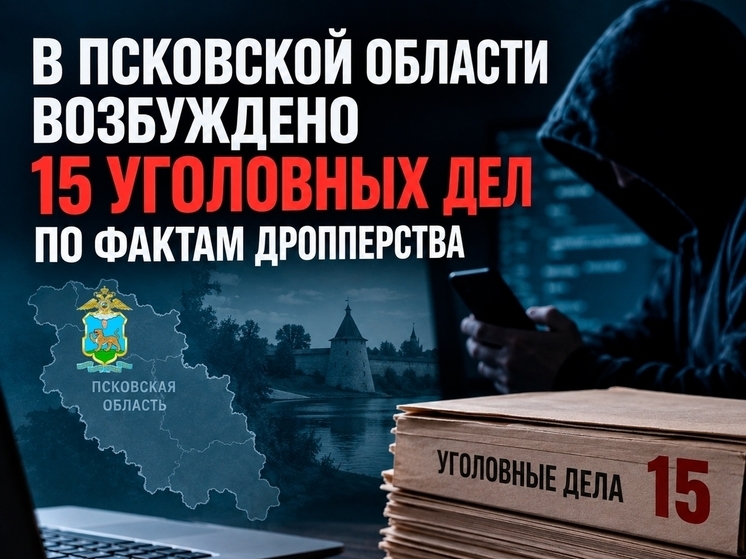 В Псковской области возбудили 15 уголовных дел за передачу банковских карт