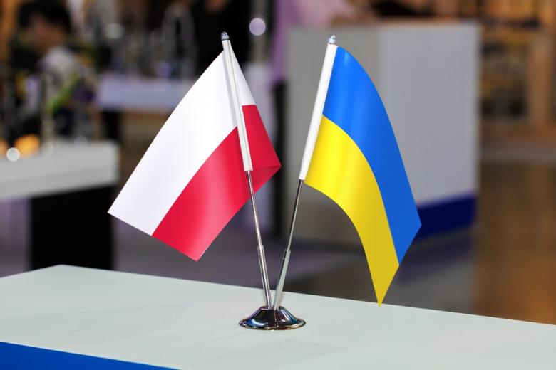 В Польше начнут патрулировать улицы для выслеживания украинцев